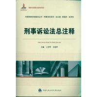 正版新书]刑事诉讼法总注释王茂华9787565301902