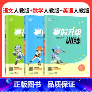 ❤❤❤[3本]语文+数学+英语人教版 小学三年级 [正版]2024寒假升级训练一二三年级四年级五年级六年级上册下册语文数