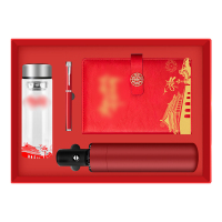 优彩嘉 政治生日纪念套装 本子+琉璃杯+伞+笔 ZZTZ-08 套