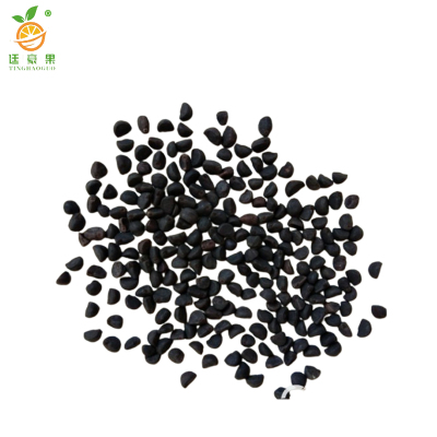 廷豪果 爬藤牵牛花花籽 净籽 /千克