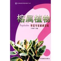 正版新书]榕属植物养花专家解惑答疑/花卉栽培养护新技术推广丛