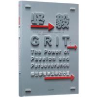 坚毅:释放激情与坚持的力量