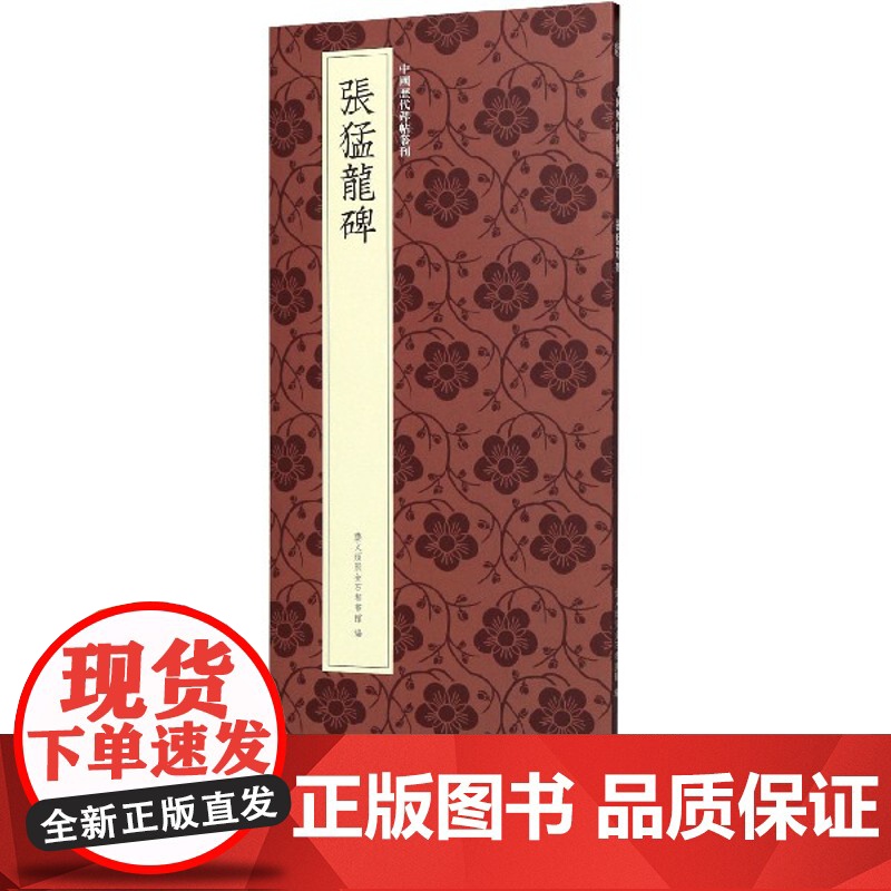 张猛龙碑 北魏楷书代表作高清原碑帖+近距离临摹可平摊毛笔书法字帖楷书初学者临摹教材范本基础教程 正版名品中国历代碑帖丛刊