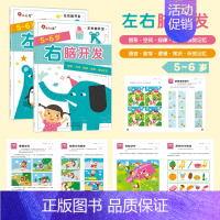 左右脑开发 5-6岁(全2册) [正版]全脑开发700题儿童思维训练2-3岁全脑开发三岁宝宝数学逻辑书本两岁幼儿益智游戏