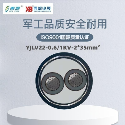 秦源牌 YJLV22-0.6/1KV-2*35mm² 铝芯低压铠装电力电缆 元/米 定制商品 联系客服