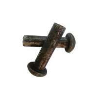 益莘 半圆头铆钉4.8级 M20*90mm 个