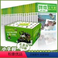 [正版]小牛顿趣味动物馆 狼 第3辑 礼盒套装全20册 3-6岁幼儿童宝宝动物百科大全书 动物科普图画书 启蒙科普书