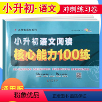 [正版]新版小升初语文阅读核心能力100练 小学毕业升学冲刺练习卷68所名校直通车阅读理解专项训练书小考必刷题六年级下