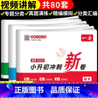 2025新:语文+数学+英语(3本套) [正版]2025新小升初冲刺新卷小学六年级上册下册语文数学英语人教版试卷测试卷2