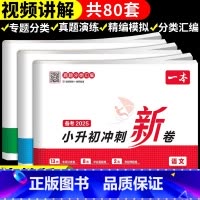 2025新:语文+数学+英语(3本套) [正版]2025新小升初冲刺新卷小学六年级上册下册语文数学英语人教版试卷测试卷2