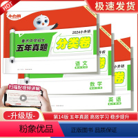 [语文+数学+英语]五年真题分类卷 小学升初中 [正版]2024小白鸥星空小升初真题分类卷小学毕业升学重点中学招生分班真