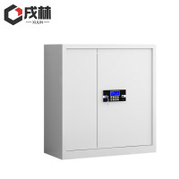 戌林 保密柜单节密码锁/台