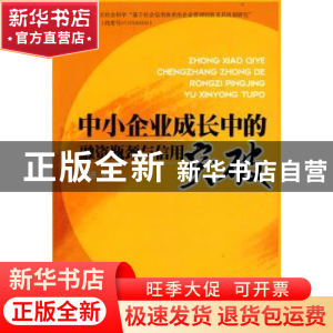 正版 中小企业成长中的融资瓶颈与信用突破 许进著 人民出版社 97