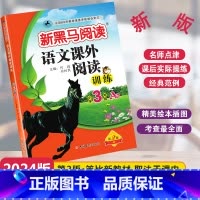 [单元检测]语文课外阅读A版 小学三年级 [正版]2024新版新黑马阅读语文课外阅读训练A版通用版小学三年级全一册3年级