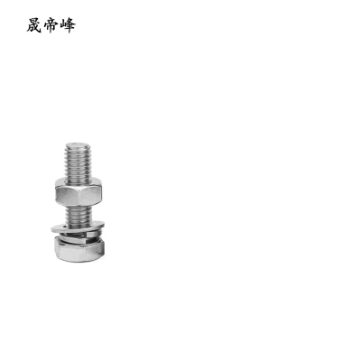 晟帝峰 不锈钢穿钉带帽 M16*50 套
