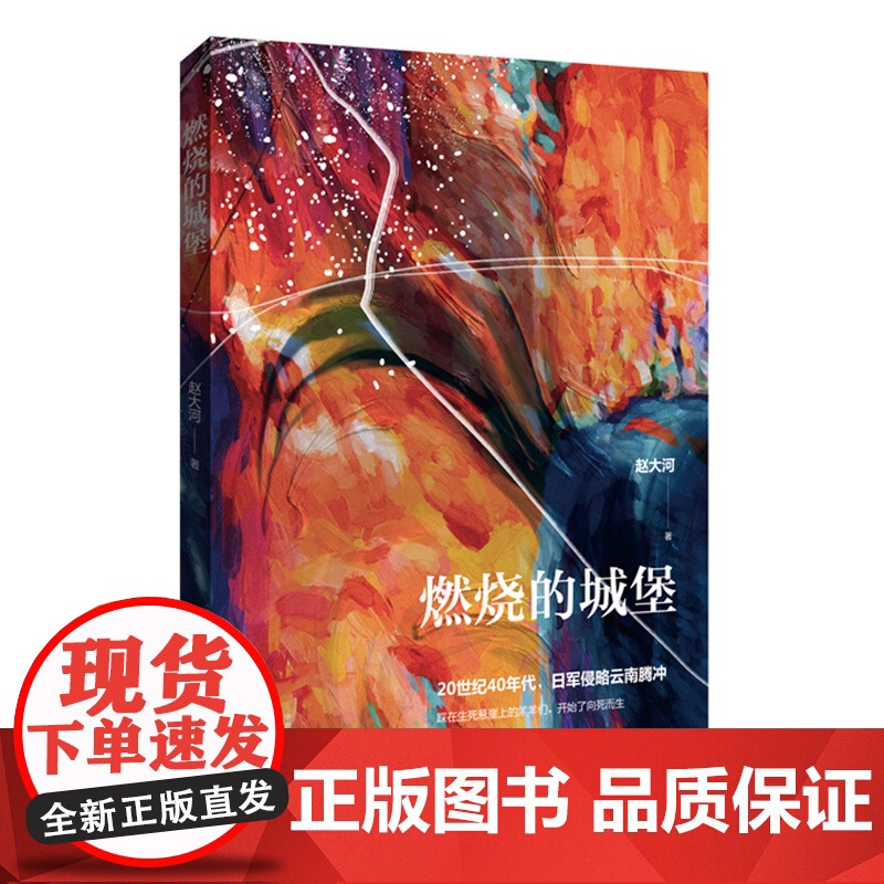 燃烧的城堡(赵大河新作)