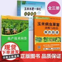 [全3册]玉米高产技术问答+水肥一体化技术图解+病虫草害诊断与防治原色图谱 玉米高产栽培与病虫害防治 玉米科学施肥种植技