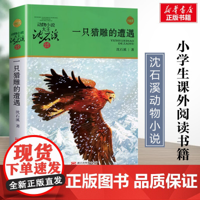 一只猎雕的遭遇 升级版 沈石溪动物小说正版品藏书系 小学生三年级四年级课外书7-8-9-10岁寒暑假课外书浙江少年儿童出