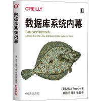 音像数据库系统内幕(美)亚历克斯·彼得罗夫(Alex Petrov)