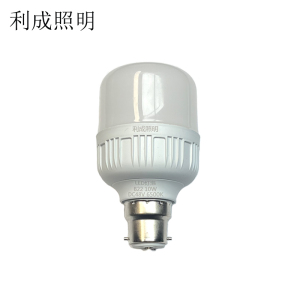利成照明 LED灯泡 B22 10W 个