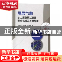 正版 煤层气藏水力压裂网状裂缝形成机理及扩展规律 姜婷婷,任高