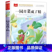 一园青菜成了精 [正版]三字经 小学生国学启蒙读物 彩图注音版 带注释译文知识点 历史故事 中华传统经典诵读 亲子阅读绘