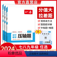 [3册]压轴题+英语完型150篇+ 语文阅读五合一 七年级 [正版]2024七年级数学压轴题初中数学题型专项训练