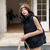 韩版时髦百搭宽松马甲女新款马甲女短款立领时尚洋气坎肩外套