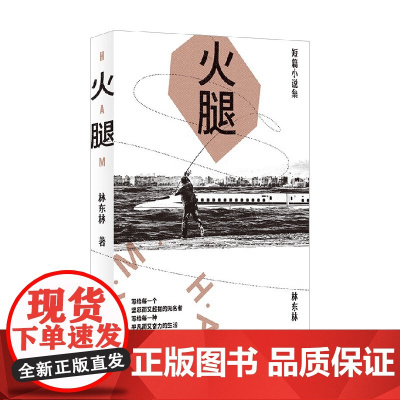 火腿 林东林 著 小说