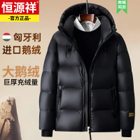 恒源祥羽绒服男士高端进口鹅绒连帽加厚保暖防寒防风黑金外套男装