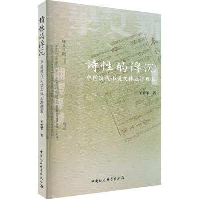 诗性的浮沉 中国现代小说文体互渗现象