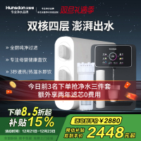 汉斯顿/Hunsdon[国家补贴]家用0阻垢剂净水器管线机套装厨下式净饮机RO反渗透净水机过滤器母婴直饮厨房纯水机D3