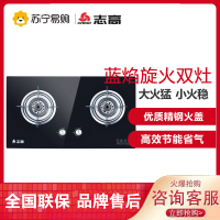 志高(CHIGO)F210D双灶眼燃气灶具 (天然气) 4.6大火力台式嵌入式两用双灶家用灶具