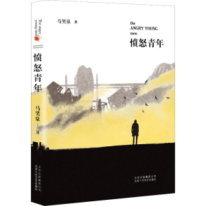 醉染图书愤怒青年9787530217887