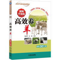 音像高效养羊(视频升级版)/高效养殖致富直通车熊家军