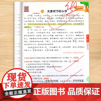 [斗半匠]三年级下册阅读理解专项训练上下册每日一练人教版小学3上语文同步练习册题课内课外阅读书籍强化真题100篇答题技巧