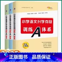 训练A体系[语数英3本] 小学通用 [正版]2025版小学升学夺冠训练A体系知识大集结语文数学英语一二三四五六年级上册下