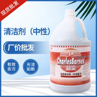 超宝全能清洁剂中性配方清洗剂瓷砖地板厨房玻璃多功能清洁剂 DFF011