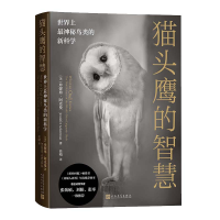 正版新书]猫头鹰的智慧:世界上最神秘鸟类的新科学(美)珍妮弗·