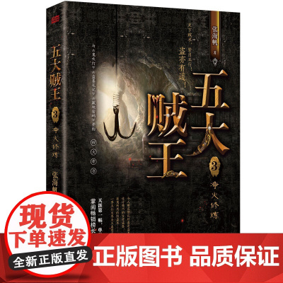 五大贼王3净火*