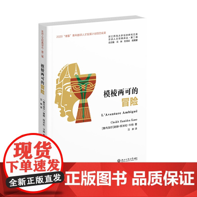 模棱两可的冒险