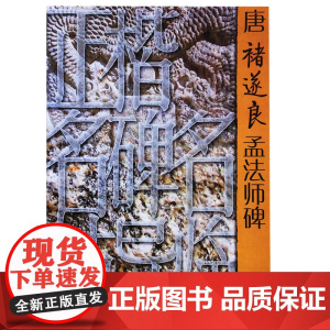 正版 正楷名碑名帖导临——唐褚遂良孟法师碑 丁剑波 山东美术出版社