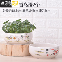 三维工匠无孔陶瓷水培花盆水仙铜钱睡莲荷花多肉特大号花盆 无孔-鸟语花香2个(18.5CM) 中等花盆容器