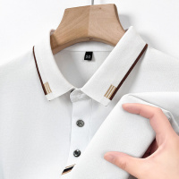 2025夏季新款棉质短袖体恤男士中年休闲翻领POLO衫薄款半袖上衣服