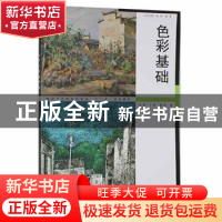 正版 色彩基础 张奇,丁亮,姚亮著 同济大学出版社 978756084261