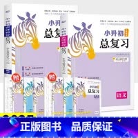 语文+数学+英语 小学升初中 [正版]2025木头马小升初总复习名师帮你总复习语文数学英语名师特训知识大集结小升初题库专