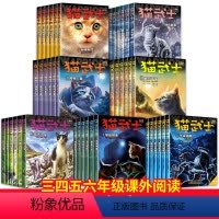 猫武士1-7部曲[全套42册] [正版]猫武士全套42册第七部曲首部曲一二三四五六7八部曲外传传奇的猫族 中小学生三四五