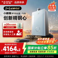 史密斯佳尼特[小精钢TJS5]16升增压零冷水燃气热水器 国家补贴 JSQ31-TJS5 安全守护 持久恒温 新品