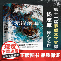 无岸的海 (2023版)茅盾文学奖s奖新晋得主、《雪山大地》原著作者杨志军长篇悬疑爱情小说