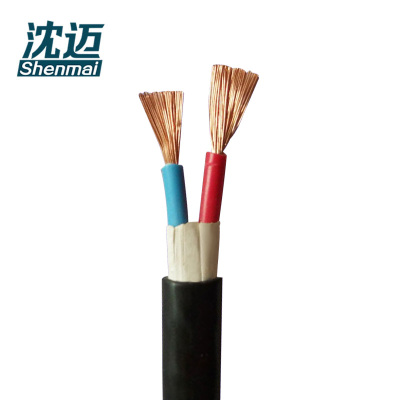 沈迈 铜芯软电线 ZC-VVR-0.6/1kV-2*10平方 1米